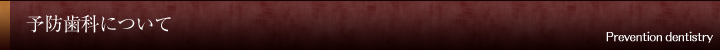 予防歯科について