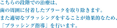 こちらの段階での治療は、歯の周囲に付着したプラークを取り除きます。また適切なブラッシングをすることが効果的なため、「ブラッシング指導」を行います。